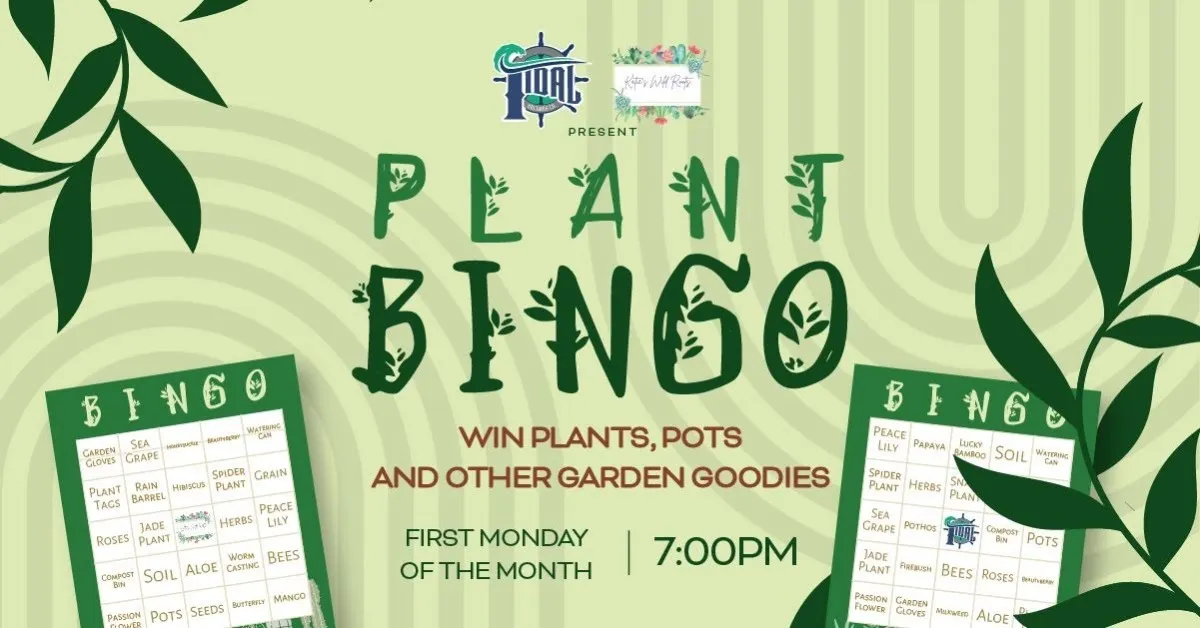 Plant Bingo with Katie's Wild Roots