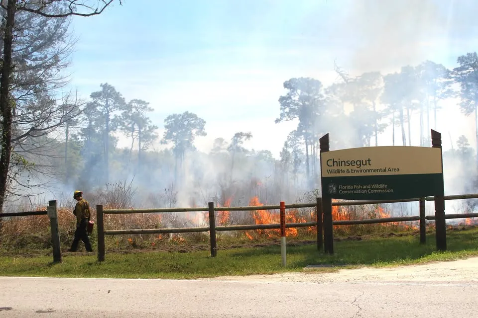 Prescribed Fire Program