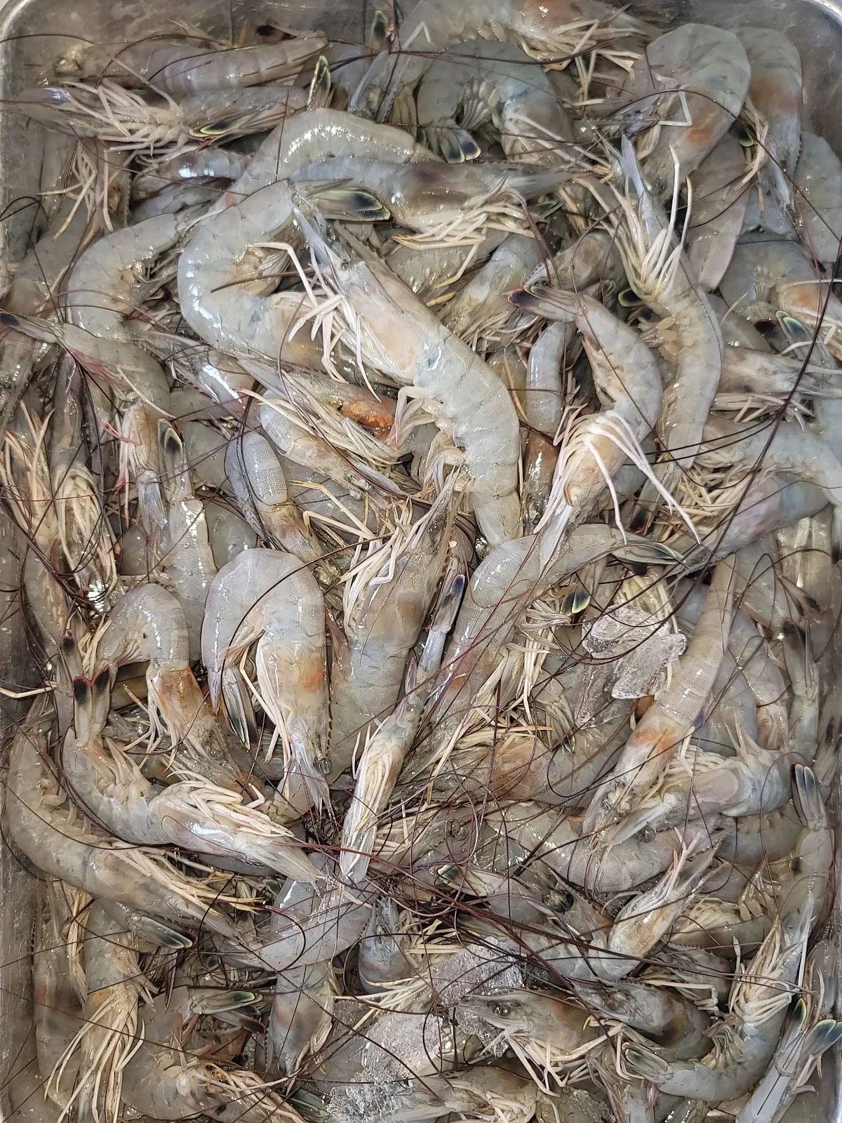 Les Fresh Fish N Shrimp