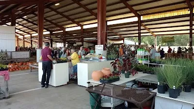 Bobs Plants