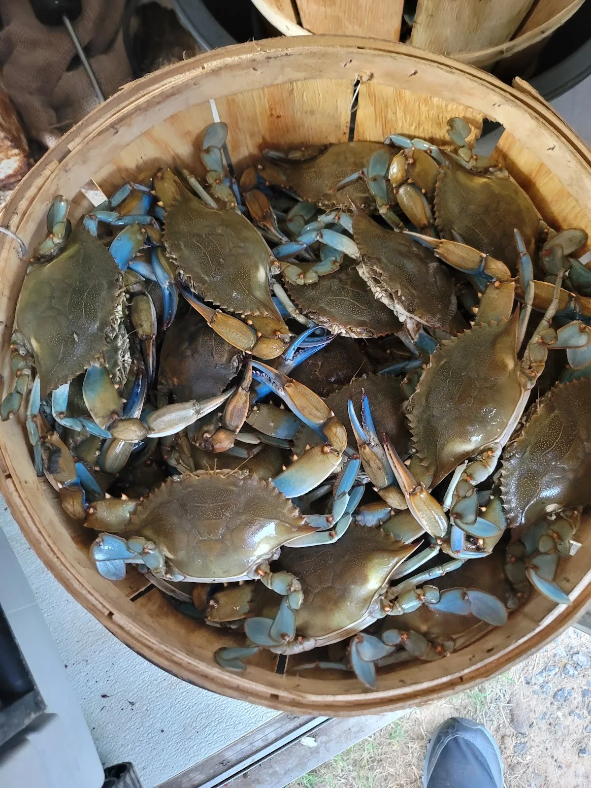 Les Fresh Fish N Shrimp